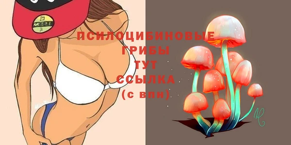 ГАЛЛЮЦИНОГЕННЫЕ ГРИБЫ Фёдоровский