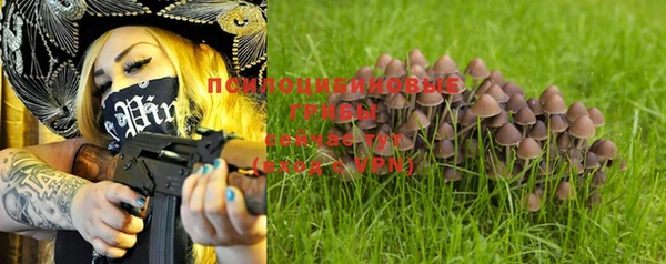 гашик Беслан