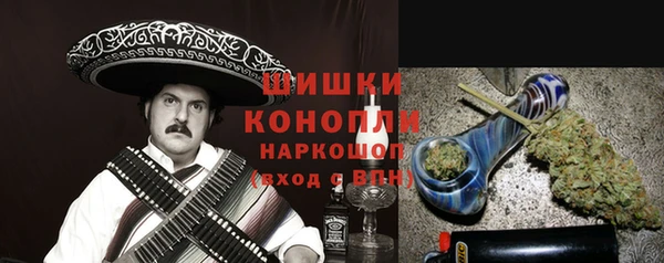 дмт Билибино