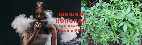 дмт Билибино