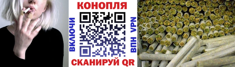 Бошки марихуана Amnesia  Болгар 